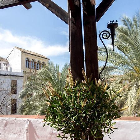 Munda Moon Villa Cordoba Dış mekan fotoğraf